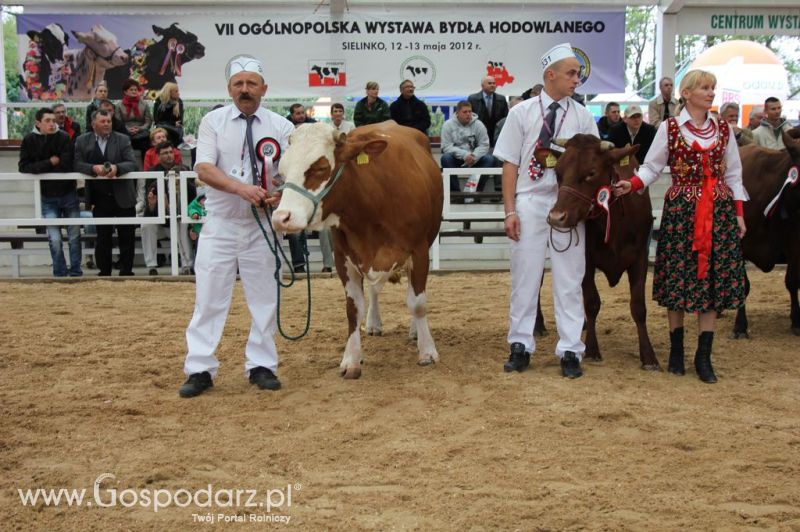 Prezentacja Championów na VII Ogólnopolskiej Wystawie Bydła Hodowlanego w Sielinku 2012