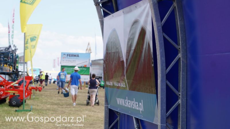 Skavska Hale na Opolagrze 2017