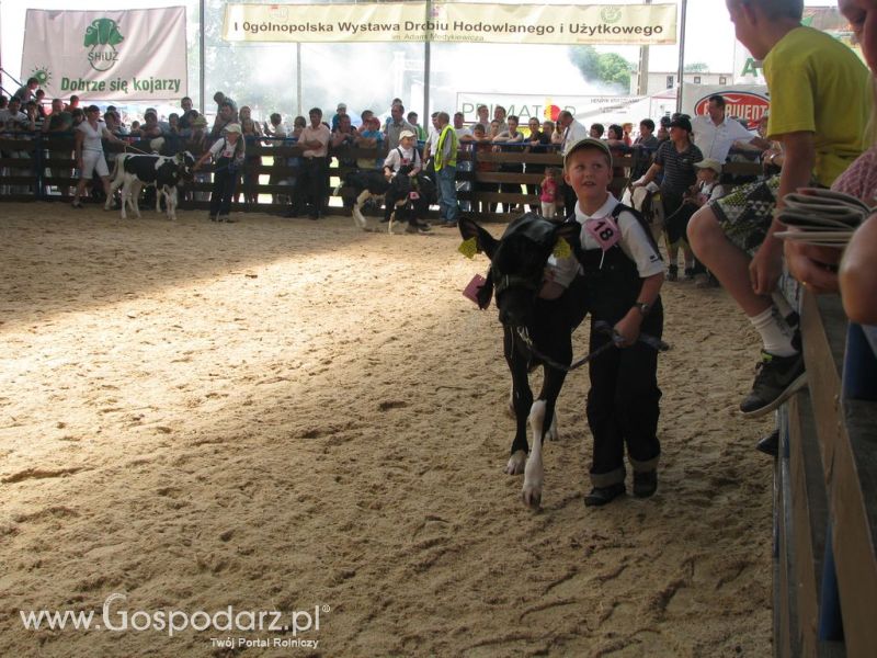 Młody Hodowca - Szepietowo 2012 XIX Regionalna Wystawa Zwierząt Hodowlanych