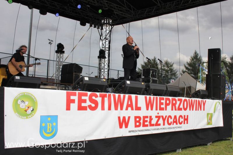 Festiwal Wieprzowiny w Bełżycach