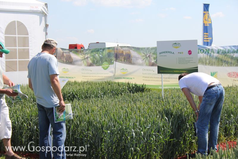 Polskie Zboża 2011 - Sobota