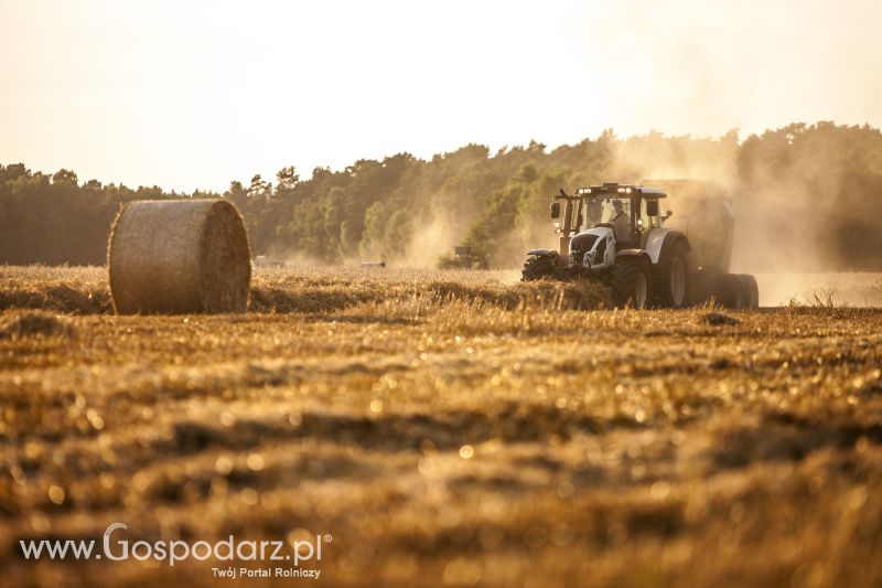 Ciągniki rolnicze Valtra Seria N