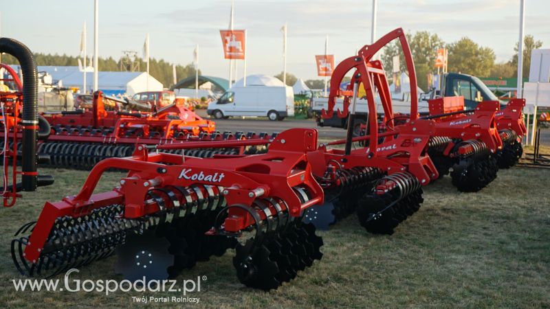 AGRO SHOW o wschodzie słońca