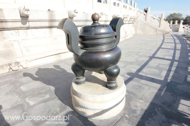 Gospodarz.pl w Chinach