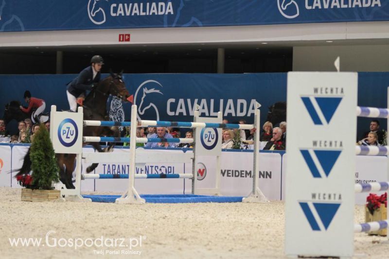 CAVALIADA 2013 w Poznaniu