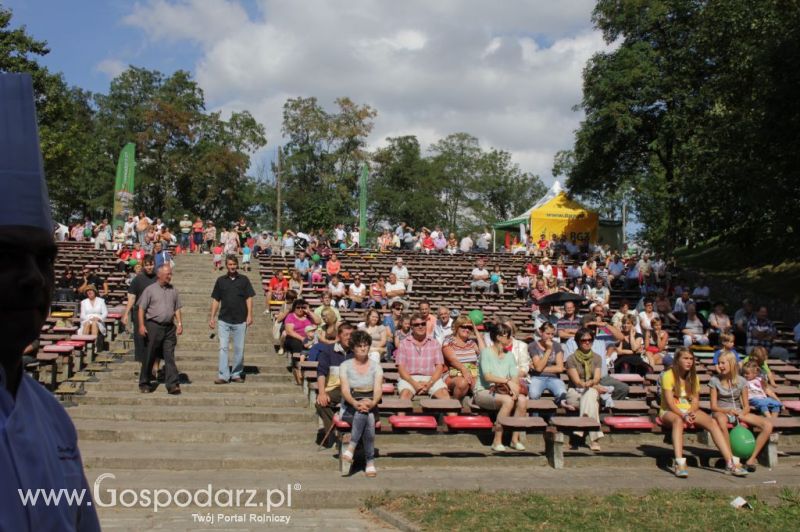 II Festiwal Wieprzowiny w Wąbrzeźnie