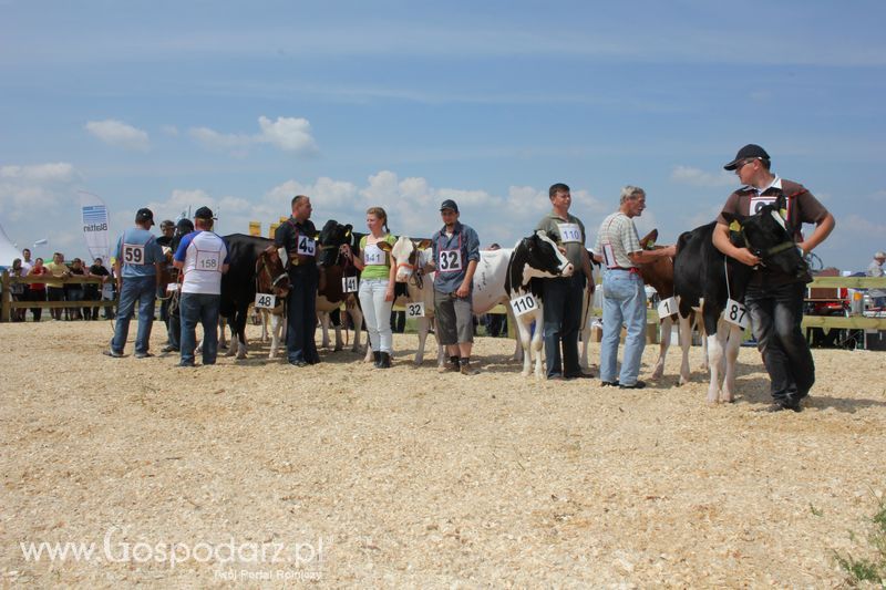Superchampioni i championi Śląskiej Wystawy Bydła Mlecznego Opolagra 2011