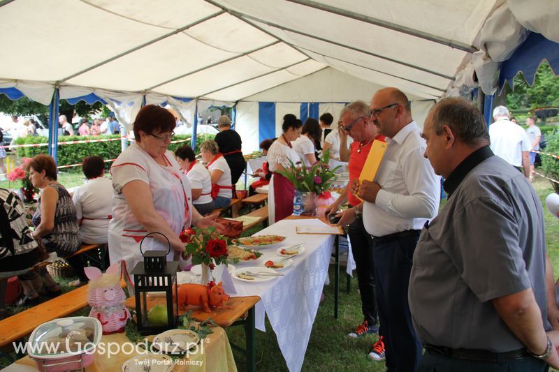 IV Ogólnopolski Festiwal Wieprzowiny - Koźmin Wlkp 2016