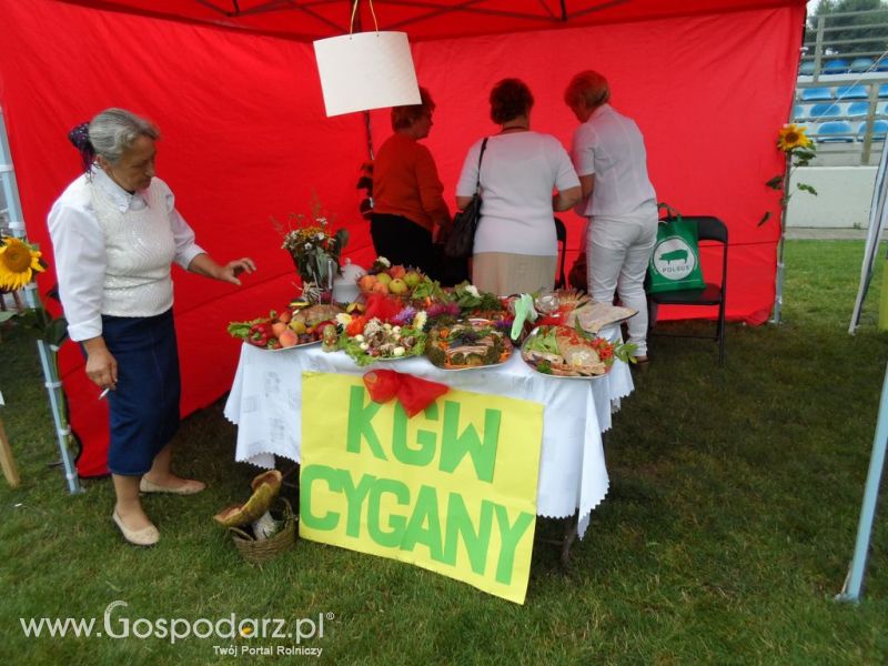 II Festiwal Wieprzowiny w Kwidzyniu