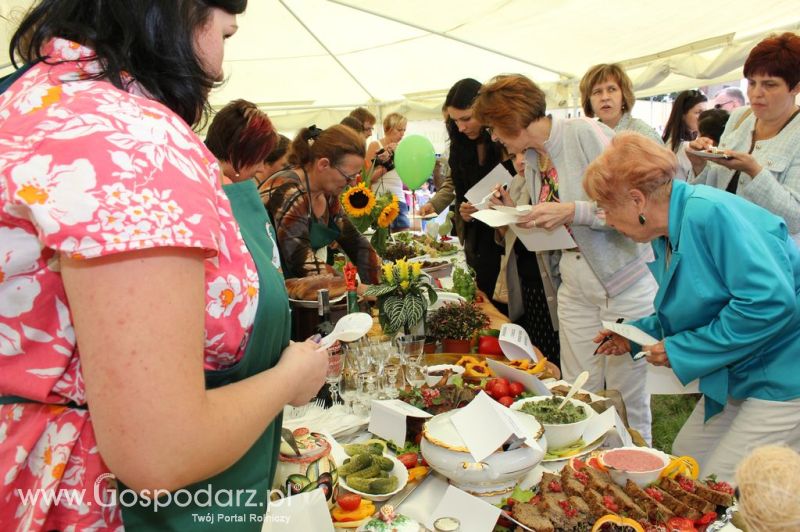 IX Święto Gęsi w Biskupcu