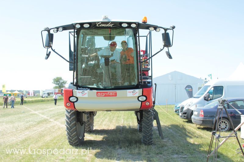 Polskie Zboża 2011 - Piątek 