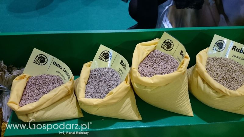 Rodzinny spacer na POLAGRA-PREMIERY 2016 w Poznaniu