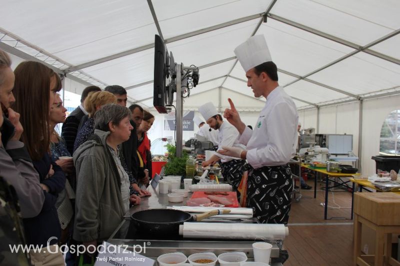 Mięsna Arena 2013 w Poznaniu