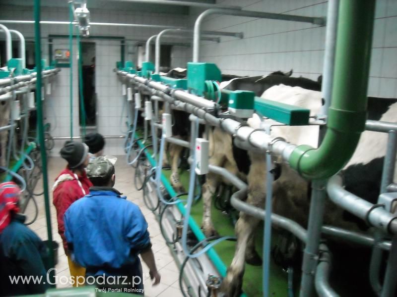 Dzień pracy rolnika-wizyta MrZgredy u MafiaOgiegooo