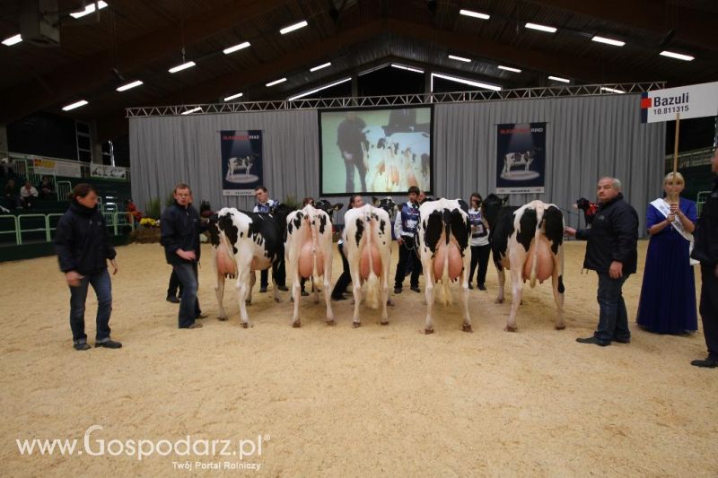 Wystawa  Blickpunkt Rind 2013 w miejscowości Paaren/Glien (Niemcy)