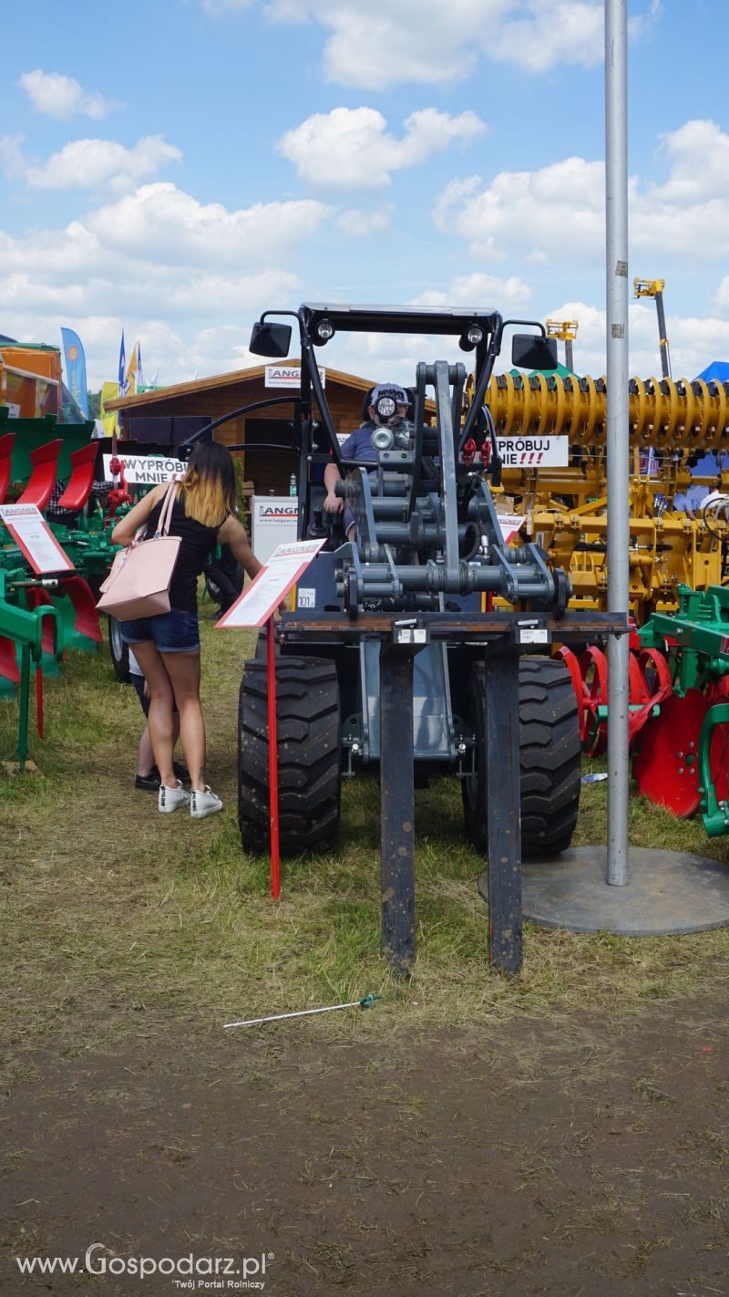 Giant na Opolagrze 2017