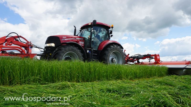ZIELONE AGRO SHOW 2017 w Ułężu (niedziela, 28 maja)