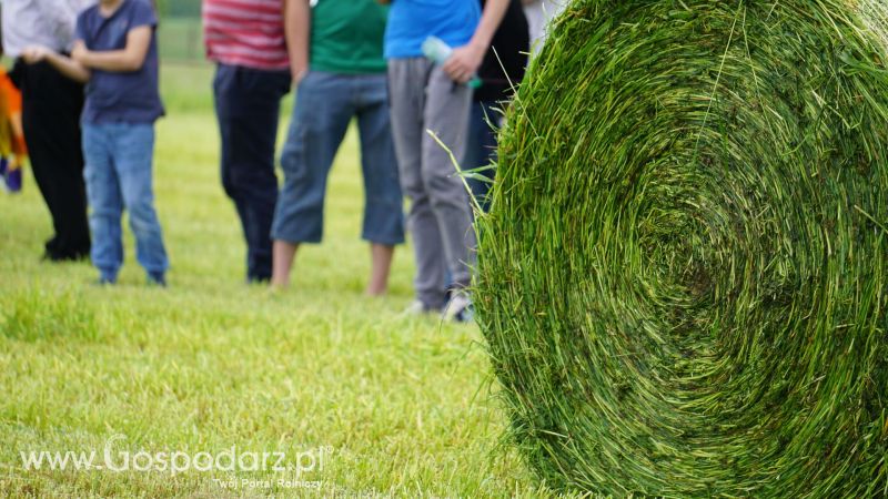 ZIELONE AGRO SHOW 2017 w Ułężu