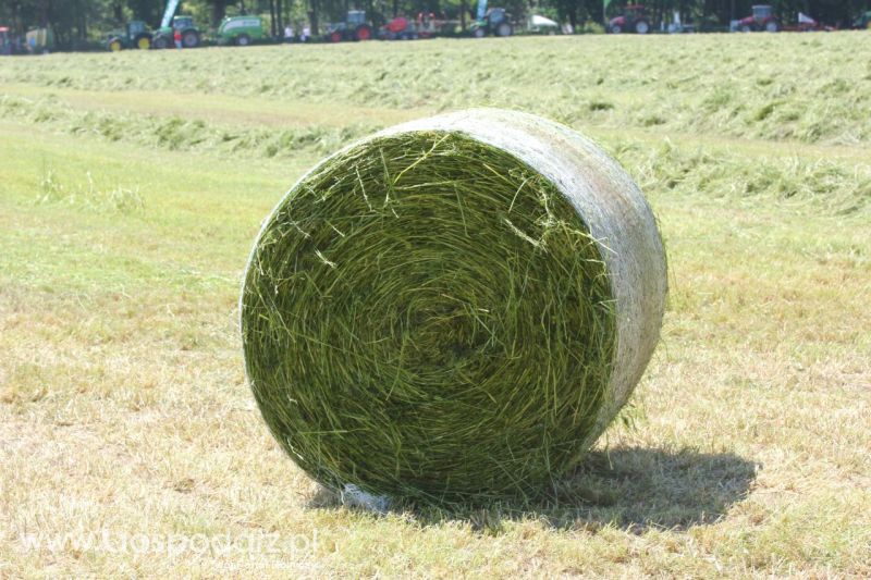 Zielone AGRO SHOW – POLSKIE ZBOŻA 2014 w Sielinku - sobota