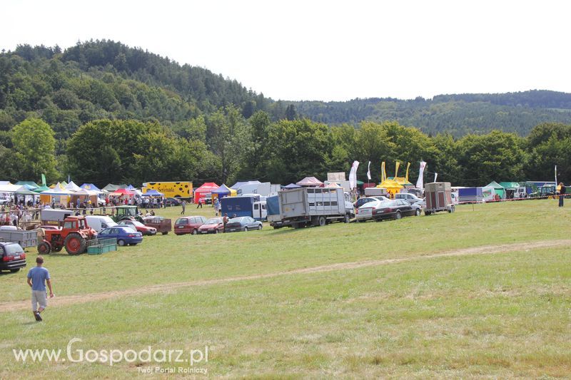 Pokazy konne i wręczenie nagród w Rudawce Rymanowskiej