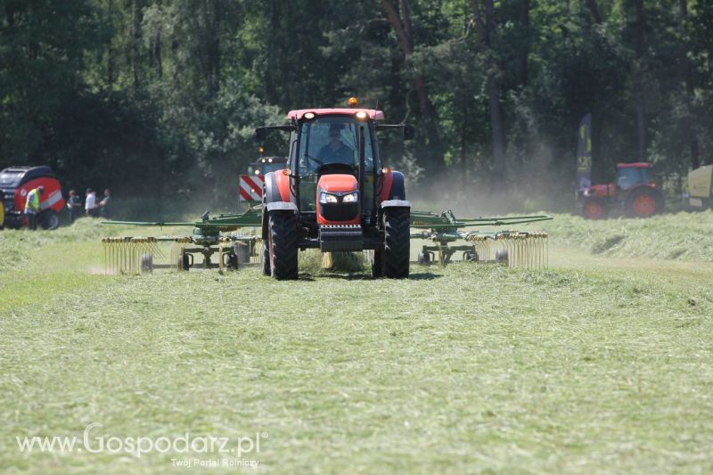 Zielone AGRO SHOW – POLSKIE ZBOŻA 2014 w Sielinku - sobota