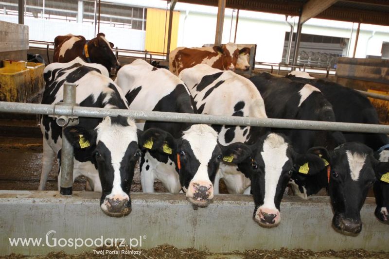 Wyjazd studyjny na farmę Langengrassau w Niemczech