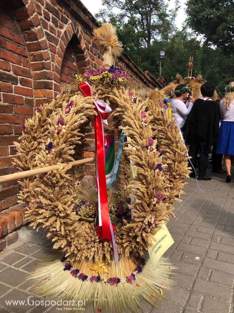 Dożynki 2018 w Kujawsko-Pomorskim