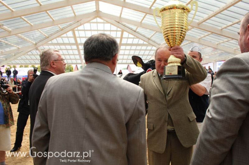 Championi VII Ogólnopolskiej Wystawy Bydła Hodowlanego - Sielinko 2012