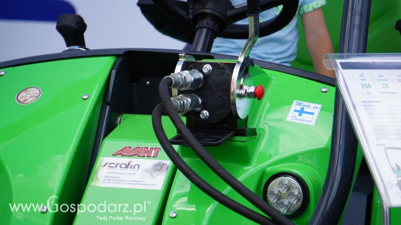 Avant Serafin na Opolagrze 2017