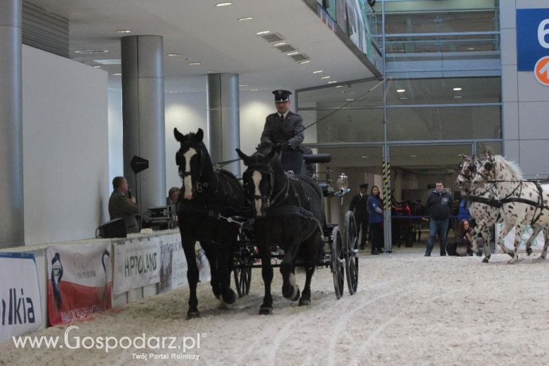 CAVALIADA 2013 w Poznaniu
