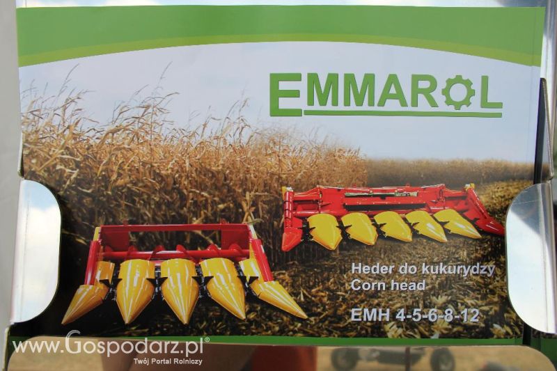 Emmarol na Opolagrze 2013