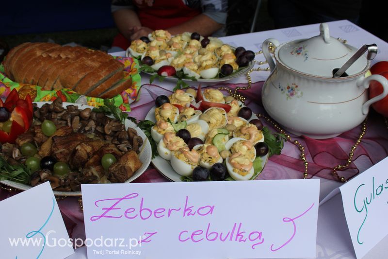 Konkurs kulinarny Kół Gospodyń Wiejskich Łasin