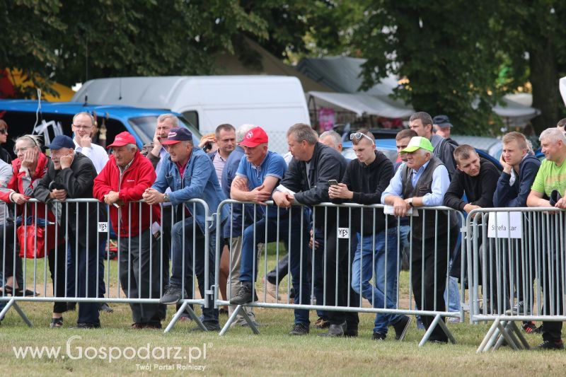 Regionalna Wystawa Zwierząt Hodowlanych i Dni z Doradztwem Rolniczym w Szepietowie 2017