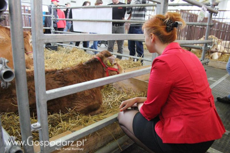 XXVI Krajowa Wystawa Zwierząt Hodowlanych - sobota i niedziela