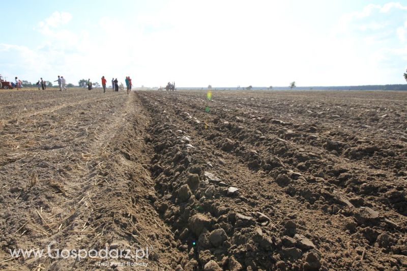 XII Festiwal Starych Ciągników im. Jerzego Samelczaka w Wilkowicach 2013 - sobota