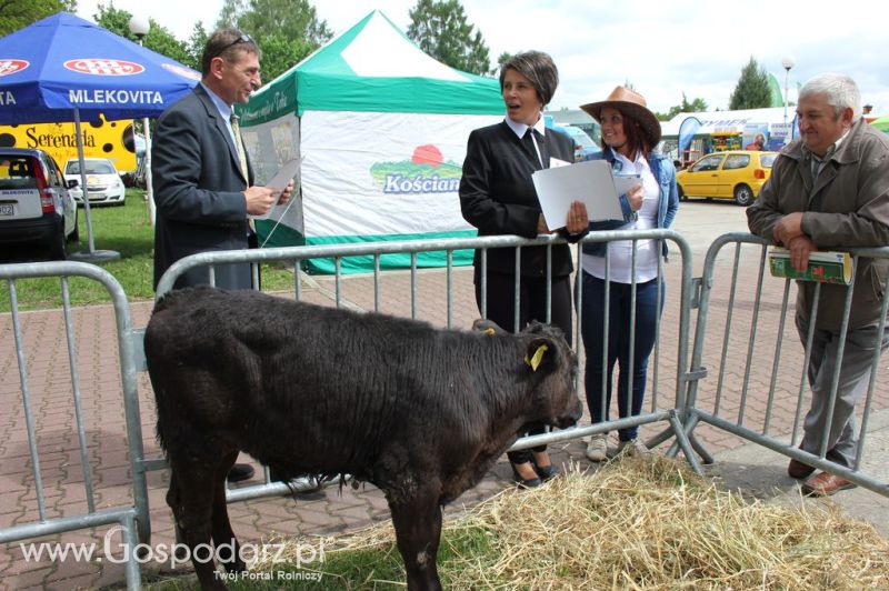 VII Ogólnopolska Wystawa Bydła Hodowlanego - Sielinko 2012