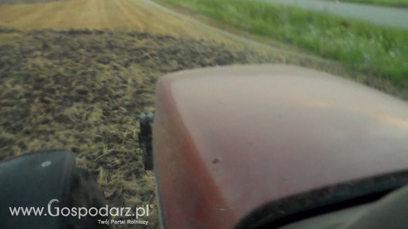 Talerzowane 2013 