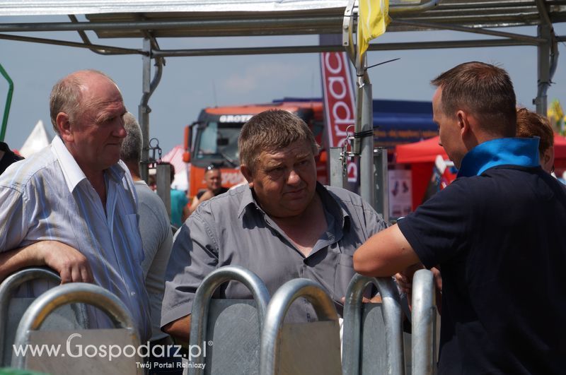 OPOLAGRA 2015 w Kamieniu Śląskim