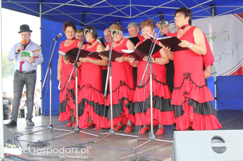 Świętomięs Polski w Chorzowie