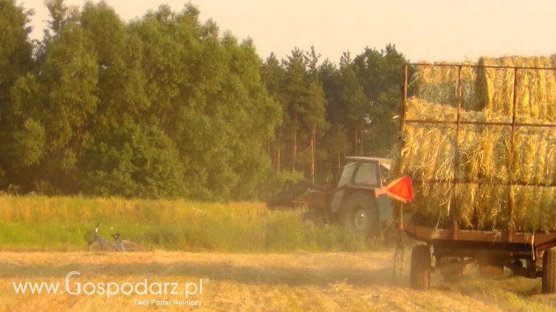 Zbiór Słomy 2013