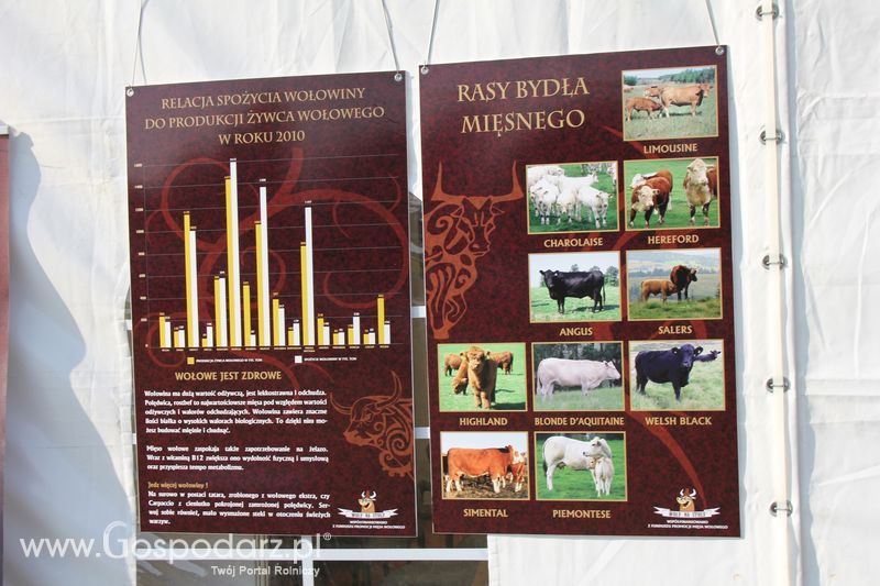 Pożegnanie Wakacji w Rudawce Rymanowskiej