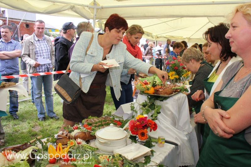 IX Święto Gęsi w Biskupcu