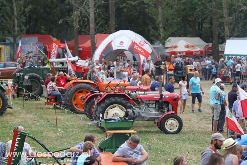 Targi Roltechnika w Wilkowicach 2015