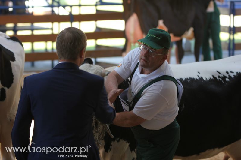 Wystawa zwierząt w Szepietowie