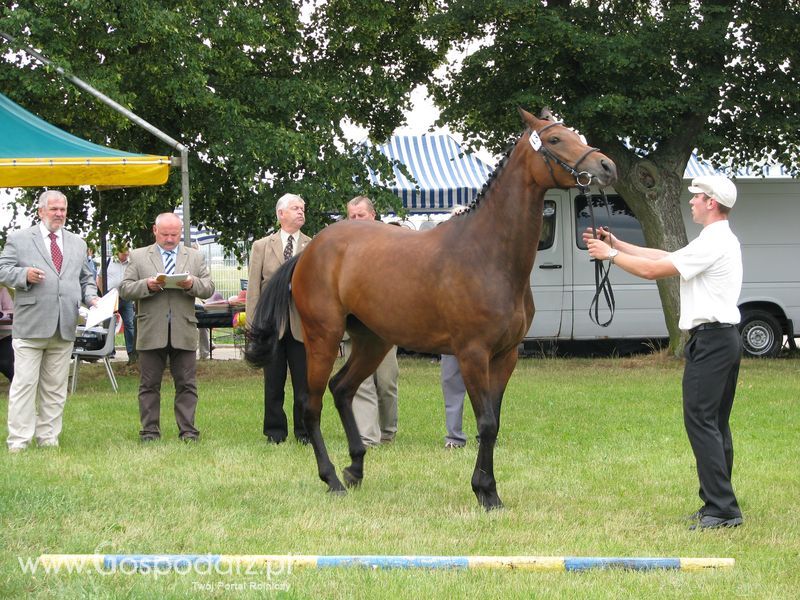 Wystawa Koni Sielinko 2011