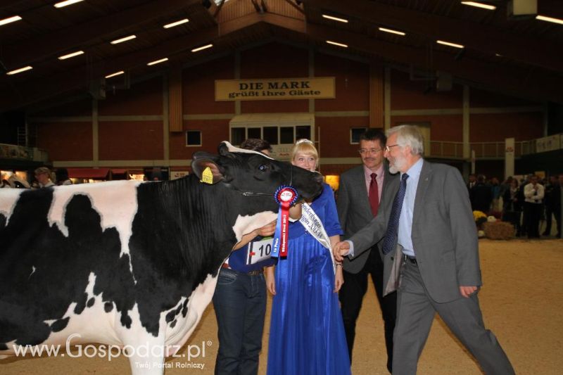 Wystawa  Blickpunkt Rind 2013 w miejscowości Paaren/Glien (Niemcy)