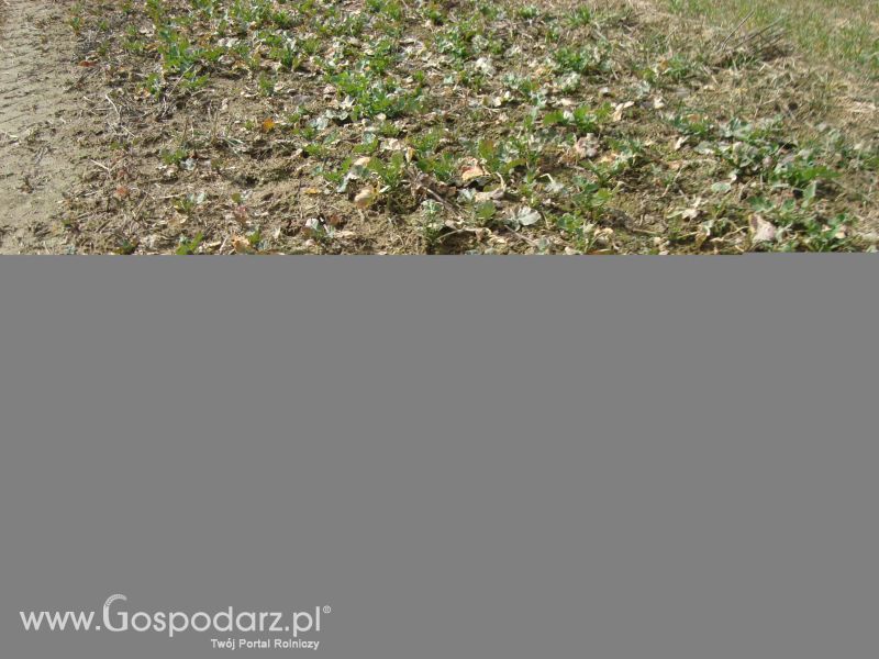 Moje zdjęcia