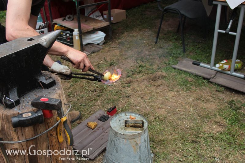  XX Targi Rolnicze Lubniewice