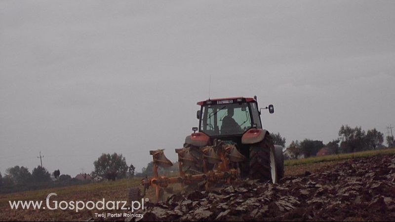 Orka 2013