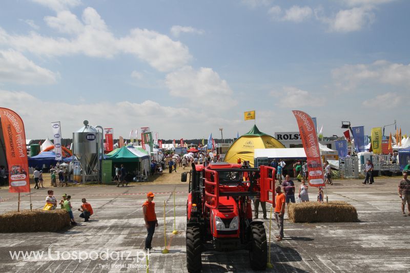 Precyzyjny Gospodarz na OPOLAGRZE 2015 - niedziela